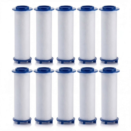 The 365-Day Fresh Water Supply ( 10 FILTER)